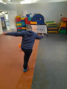 Jeux adaptés SCES